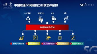 5G網(wǎng)絡(luò)能力開(kāi)放新篇章 中國(guó)聯(lián)通發(fā)布業(yè)內(nèi)首個(gè)白皮書(shū)